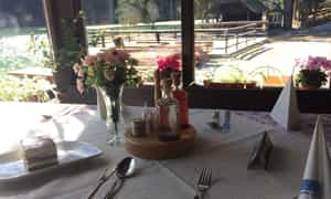 gostisce ob plansarskem jezeru