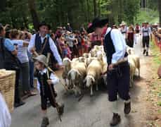 gostisce ob plansarskem jezeru